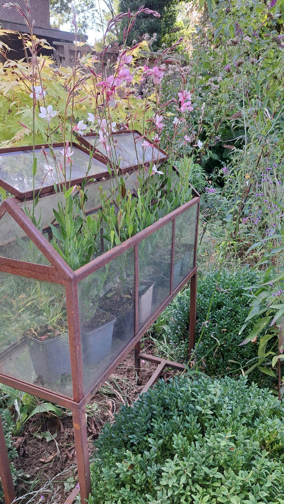 little flower house
