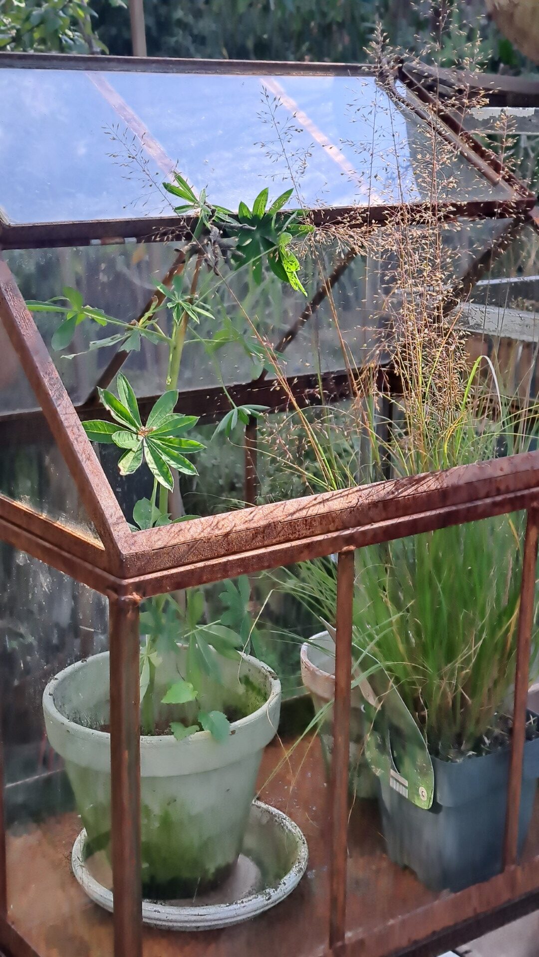 Little flower house