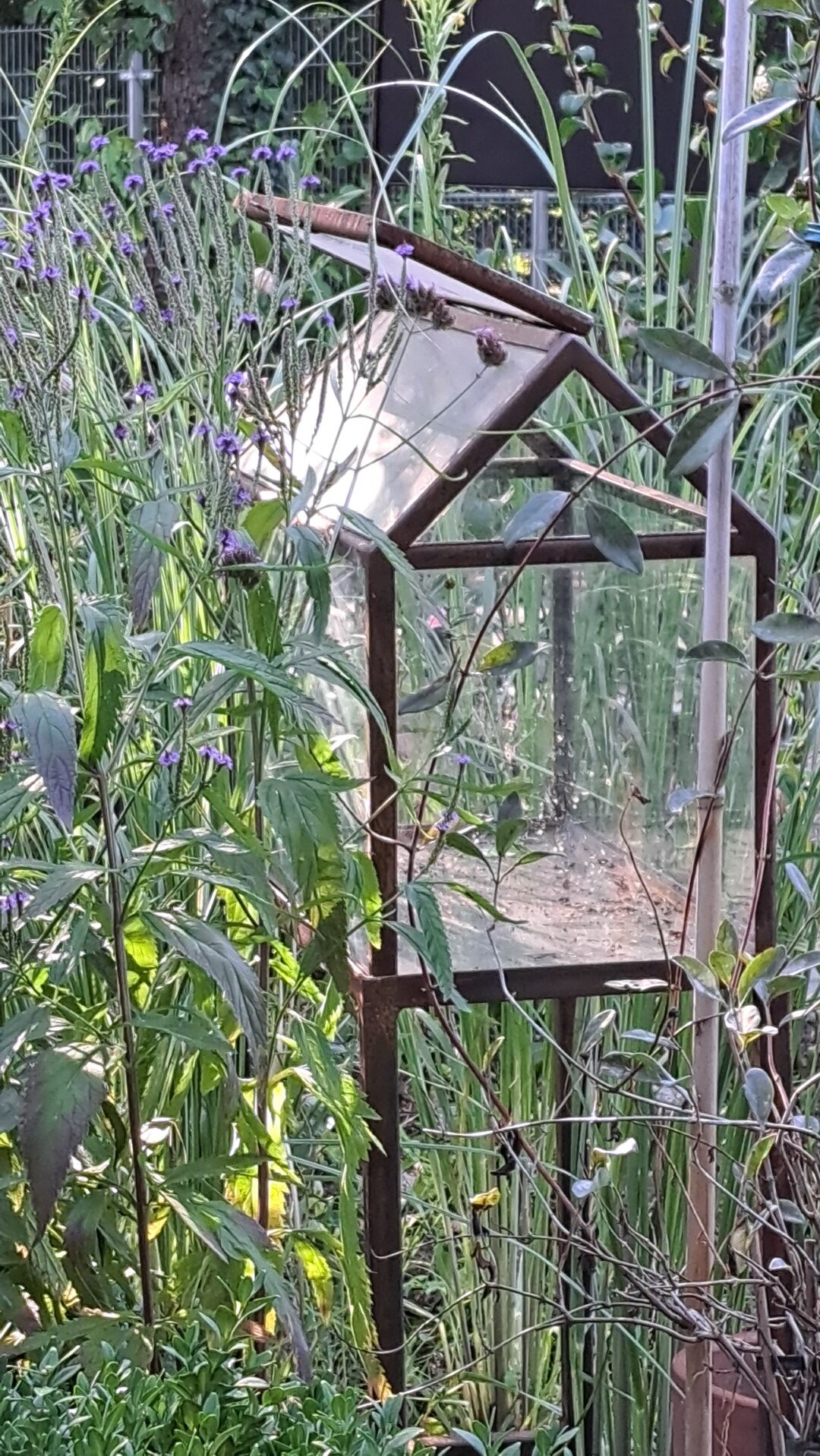 Little flower house.
